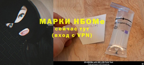 МДПВ Алзамай