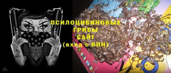 гидра Алексин