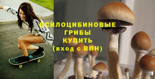 МДПВ Алзамай