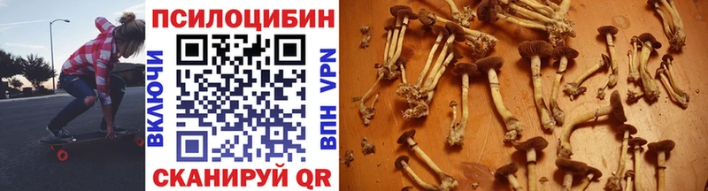 Псилоцибиновые грибы GOLDEN TEACHER  наркошоп  Красноармейск 