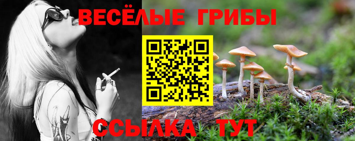 Галлюциногенные грибы прущие грибы Красноармейск