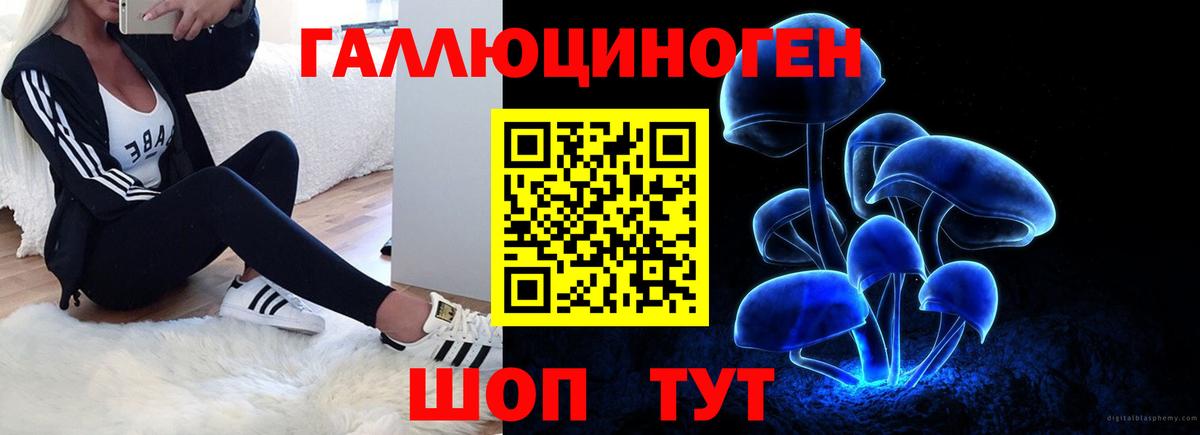 как найти закладки  Вход с VPN  Красноармейск  Галлюциногенные грибы GOLDEN TEACHER 